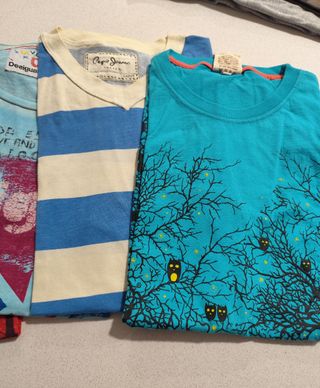 5 Camisetas Verano Brave Soul, Desigual, Pepe jean