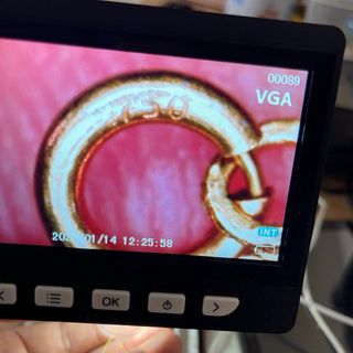 Cadena Singapur oro 18k 