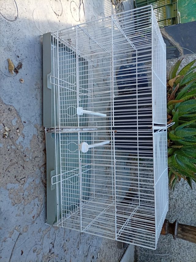 Jaula pajaros - Blanca y Gris