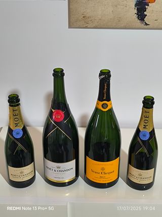 Bottiglie vuote di Champagne 