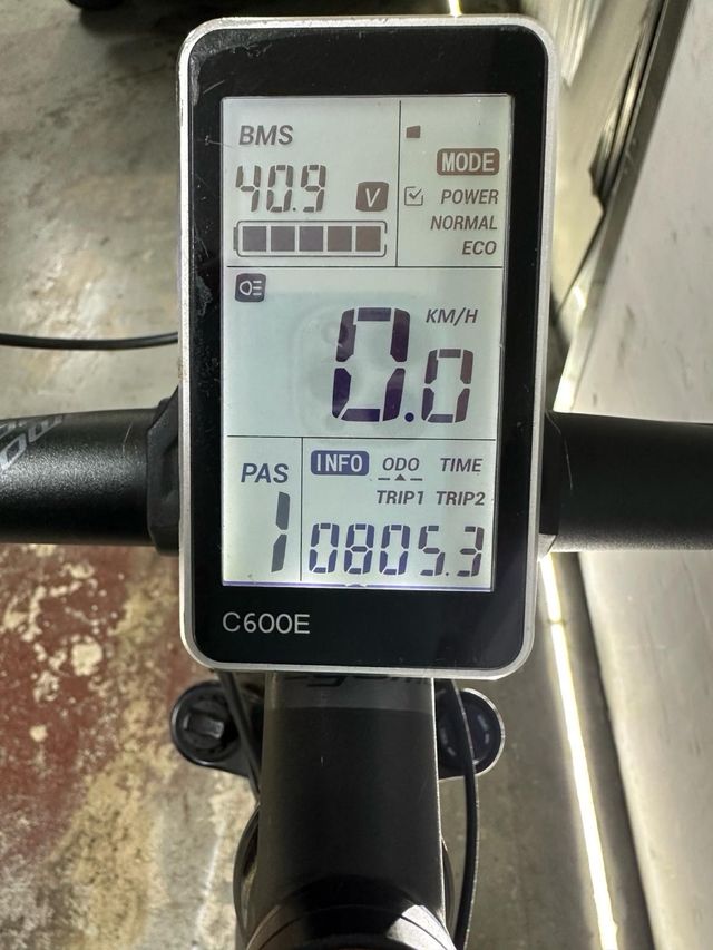 Bicicleta eléctrica montaña Megamo talla L