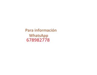 Cargadora compacta S850 