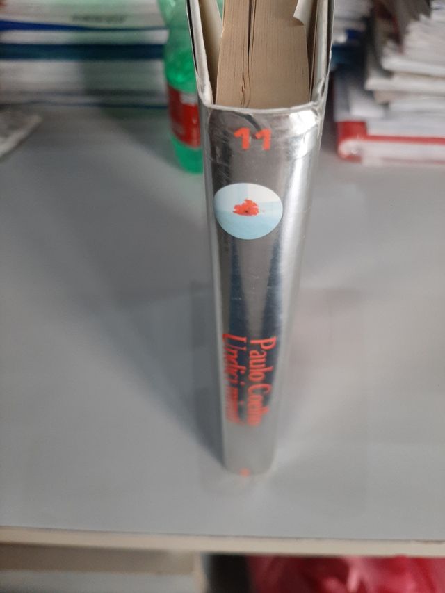 Undici Minuti (Italian Edition)