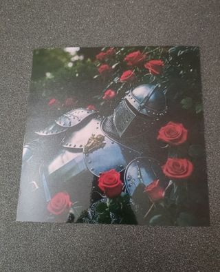 Poster Armatura e Rose