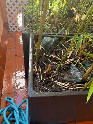 Macetas jardineras grandes - 4 uds. 