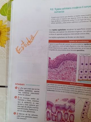 Biología y Geología 3º ESO. Libro del estudiant...