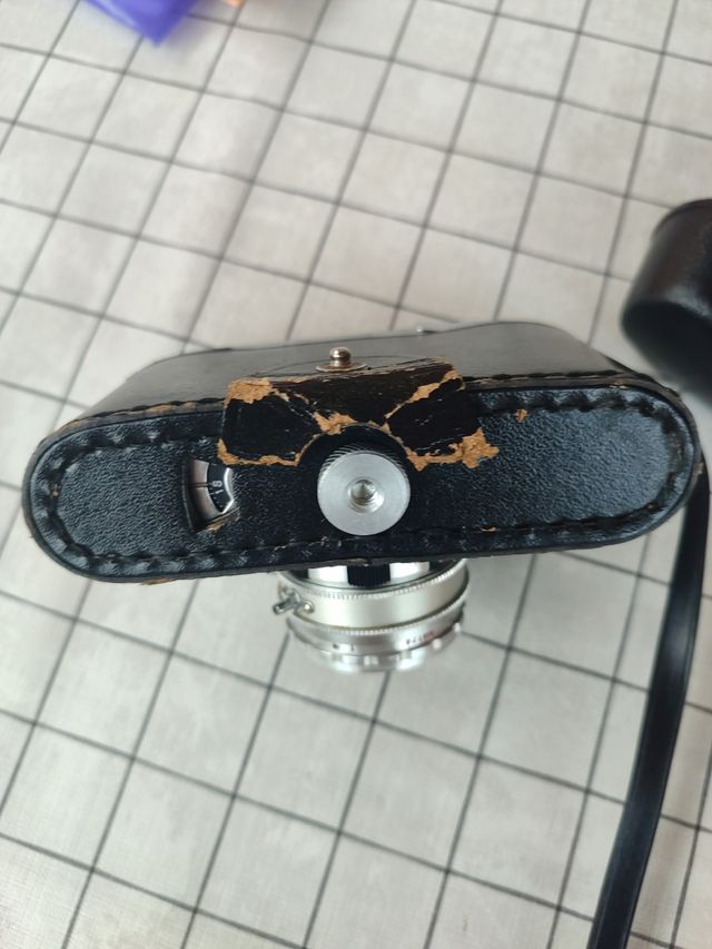 Halina Paulette: Cámara Antigua