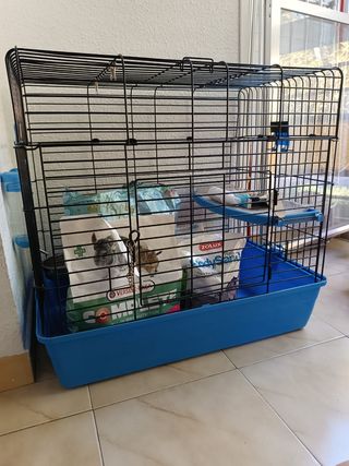 Jaula chinchilla + comida