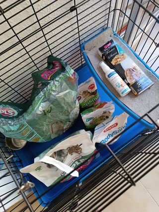 Jaula chinchilla + comida