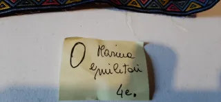 Nastri vintage: marina & militari...O