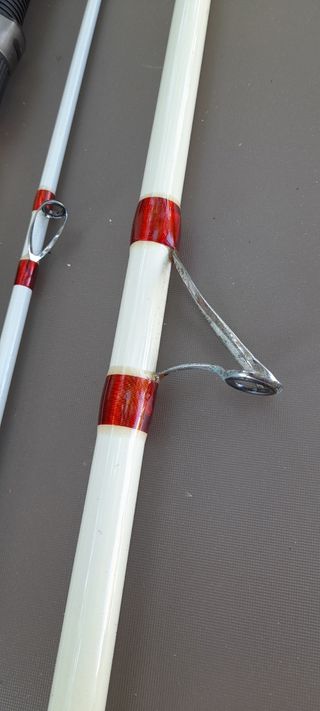 2 Cañas Pescar casting