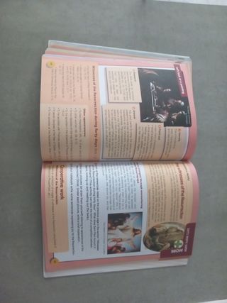 Nehorah 6 Catholic Religion Primary Education