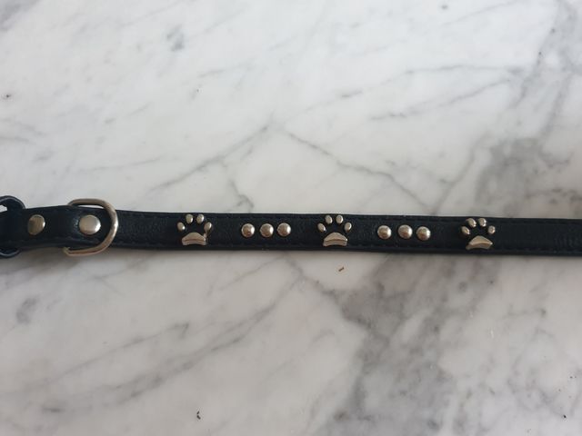 Collar perro cuero negro
1,5x37cm