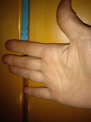 Puerta interior cristalera