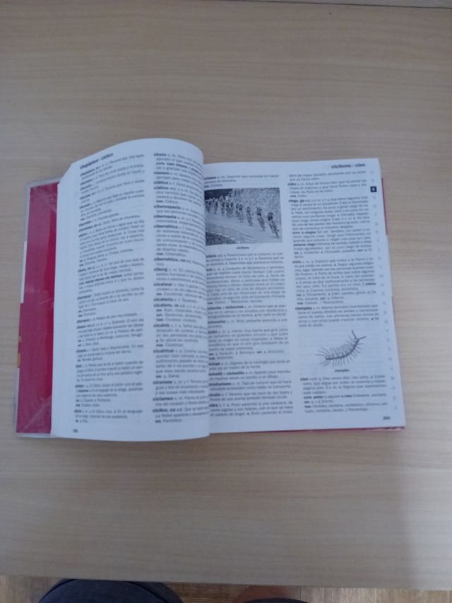 NUEVO DICCIONARIO ESCOLAR DE LA LENGUA ESPAÑOLA...