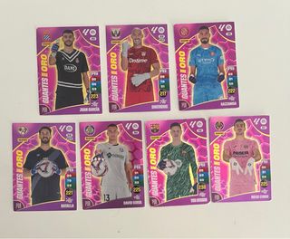 Cromos Panini Adrenalyn XL 2024-25