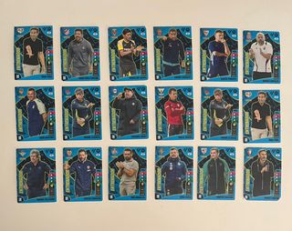 Cromos Panini Adrenalyn XL 2024-25