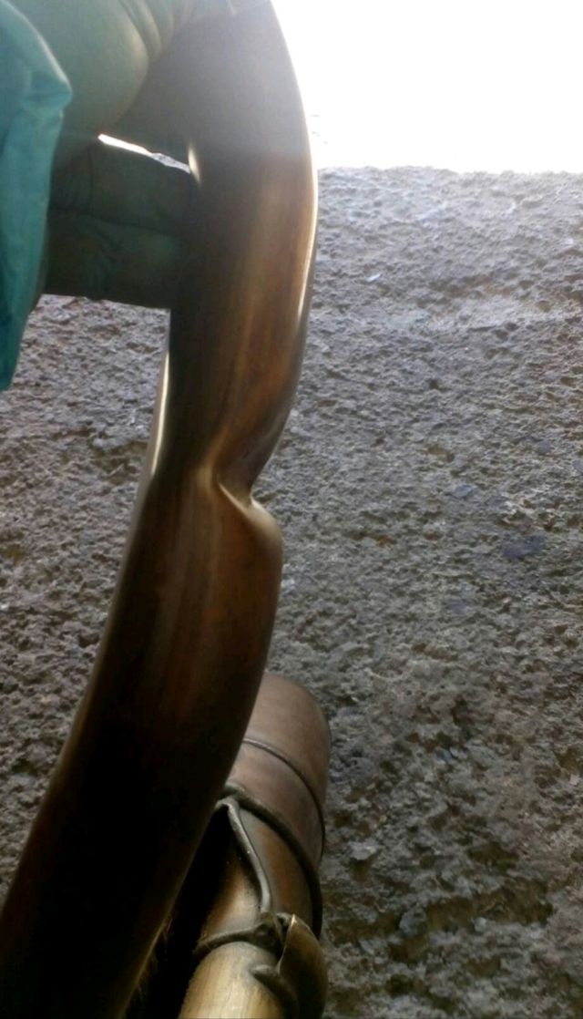 Colector escape Kawasaki