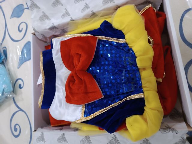 Costume Biancaneve Carnevale Veneziano