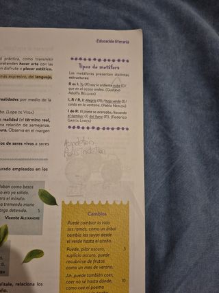Lengua Castellana y Literatura 3º ESO. Libro de...