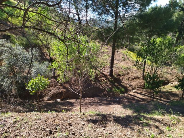 Terreno / Finca rústica Monda - Guaro