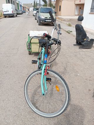 Bicicleta con carro portaequipajes