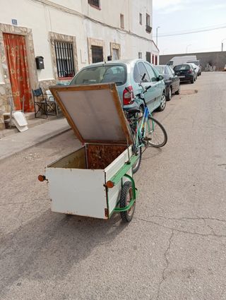 Bicicleta con carro portaequipajes