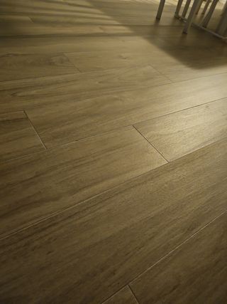 Suelo porcelánico Escandinavia 19.5x120