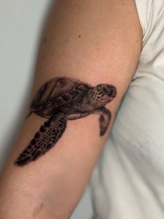TATUADOR