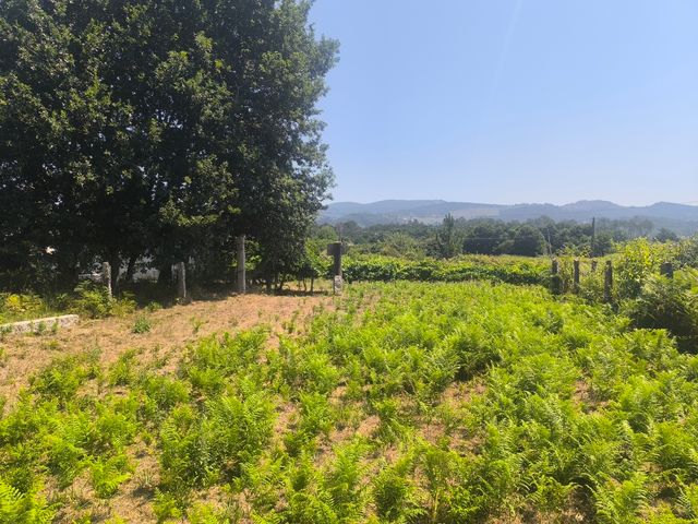 Terreno 800m2 - tel 658294052