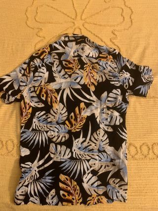 Due Camice hawaiana uomo