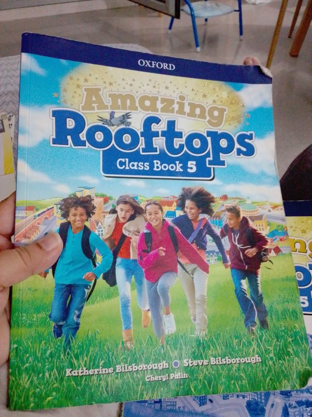 Amazing Rooftops 5. Class Book