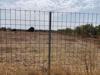Parcela de campo 5.000 m²