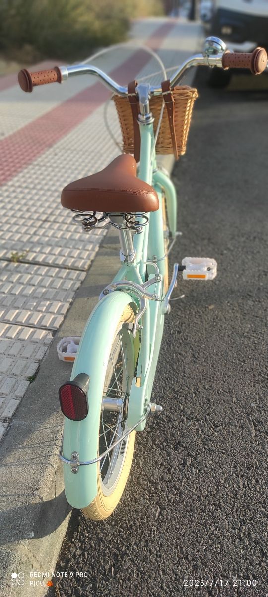 Bicicleta Bobbin GingerSnap 16" Verde Mint