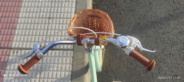 Bicicleta Bobbin GingerSnap 16" Verde Mint