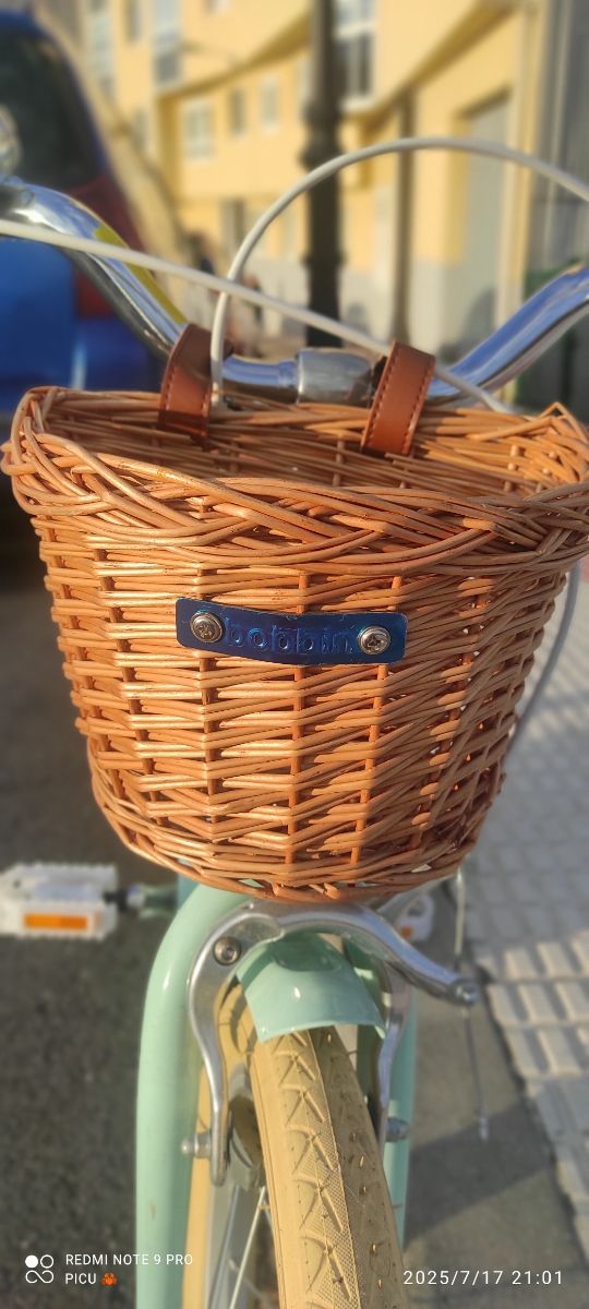 Bicicleta Bobbin GingerSnap 16" Verde Mint