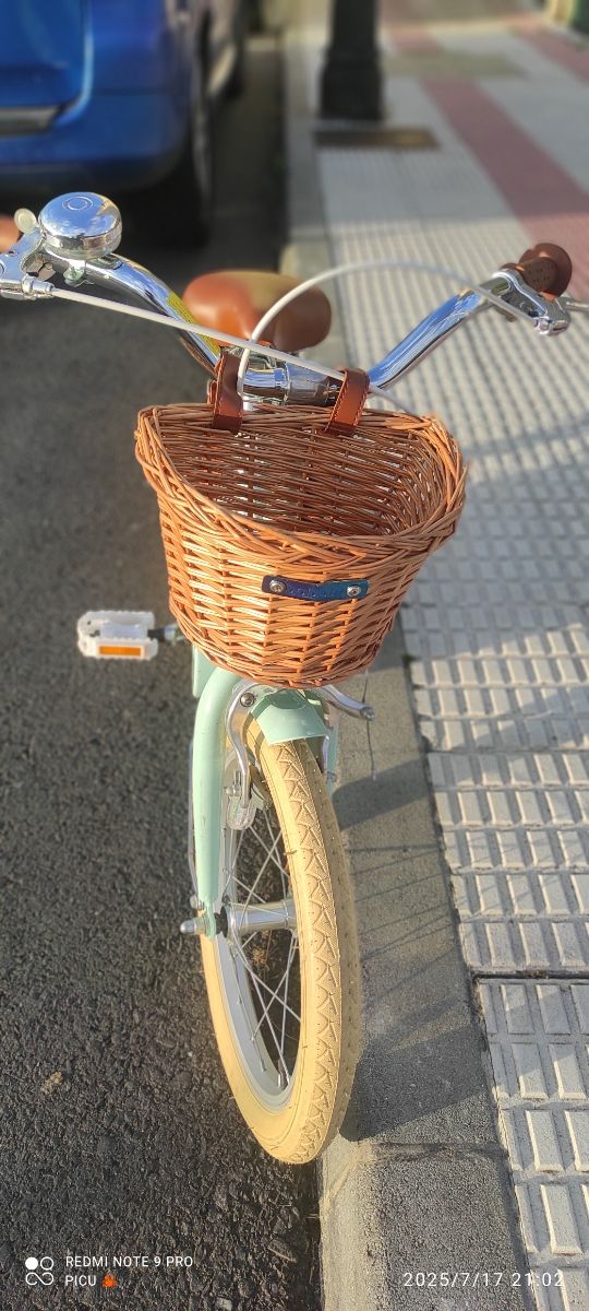 Bicicleta Bobbin GingerSnap 16" Verde Mint