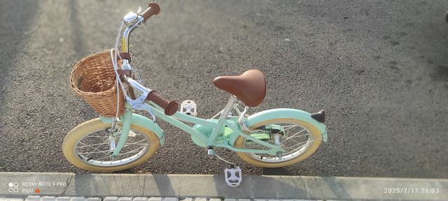 Bicicleta Bobbin GingerSnap 16" Verde Mint