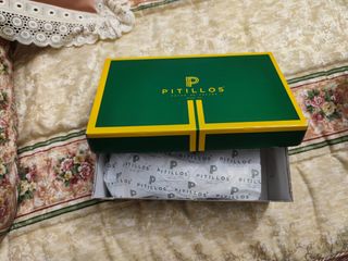 Zapatos Pitillos