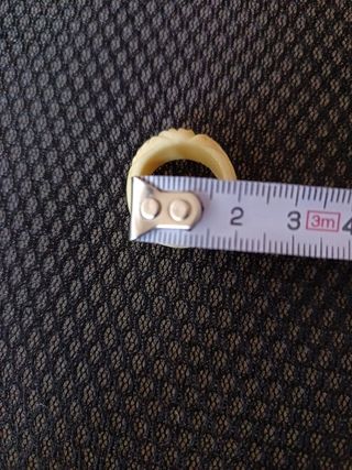 ANILLO DE HUESO