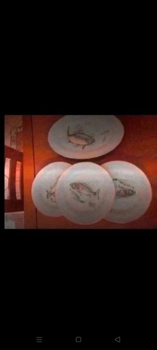 Servizio piatti pesce Tognana x6