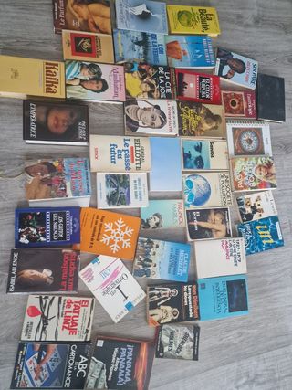 Lotto di 40 libri classici