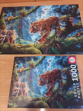Puzzle Tigres 1000 piezas Educa