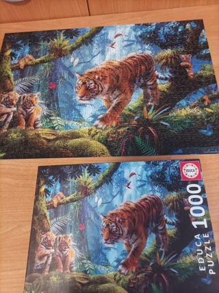 Puzzle Tigres 1000 piezas Educa