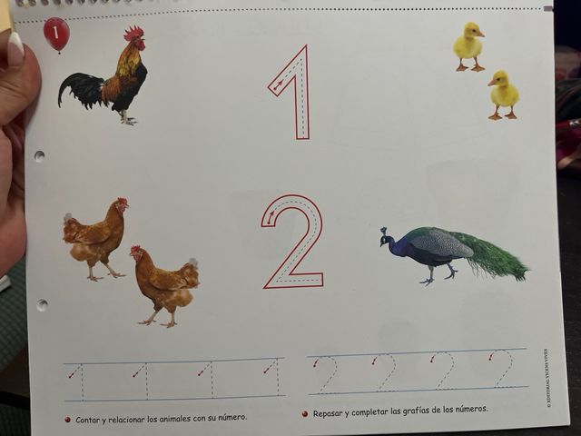 + QUE NUMEROS CUADERNO 3