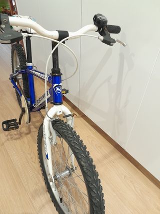 Bicicleta niño 20" QUER