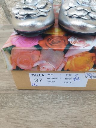 Bailarinas Duit Plata - Nuevas