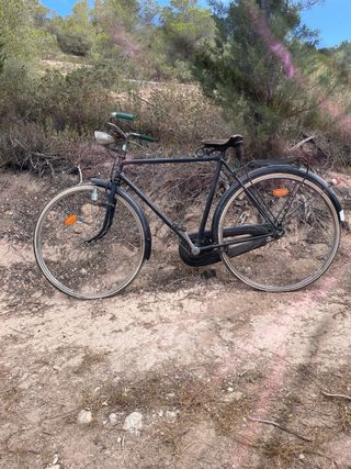 Bicicleta Vintage