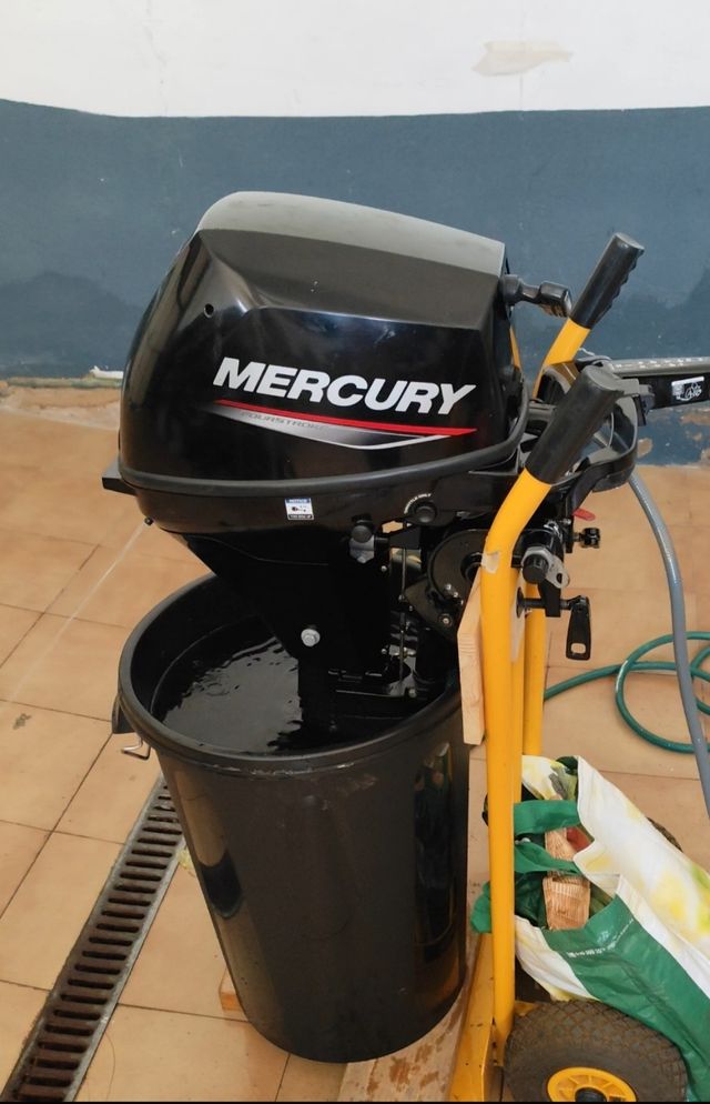 Motor Mercury 8cv cola corta 2023