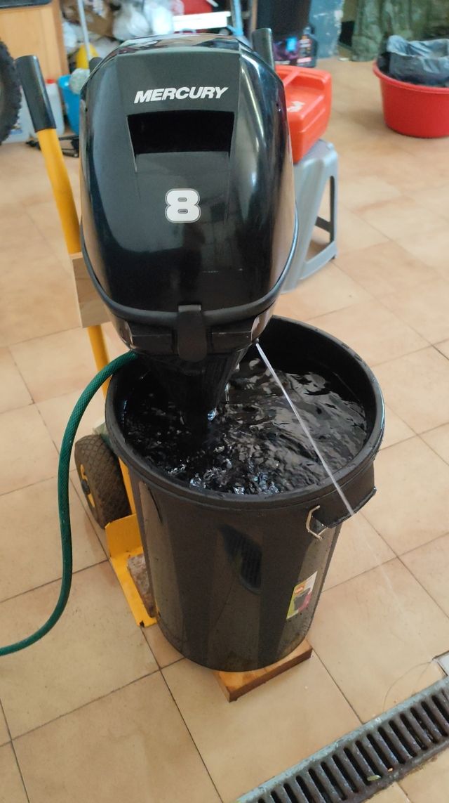 Motor Mercury 8cv cola corta 2023